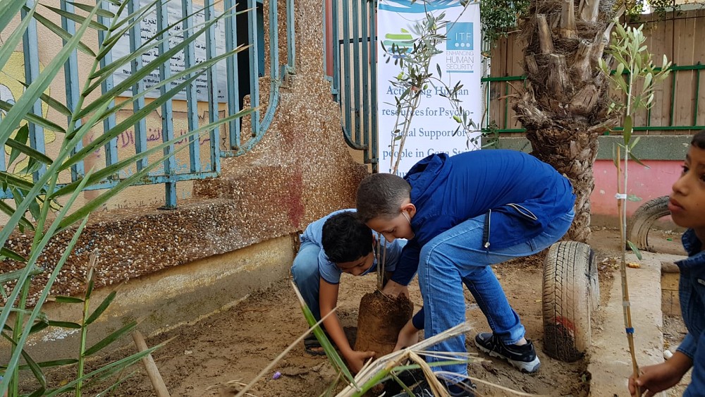 Gaza's youth planting trees.