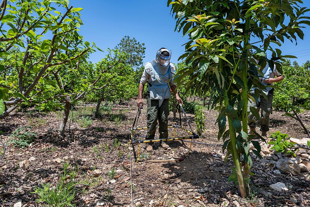 Republic of Korea supported cluster munition clearance in South Lebanon (photo: Arne Hodalič).