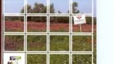 Croatia 20 years after. Mine victims - where are they, what do they do, what do they need? 