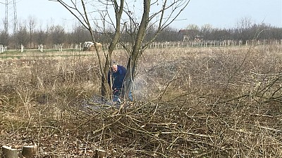 Demining – a Prerequisite for Farming 