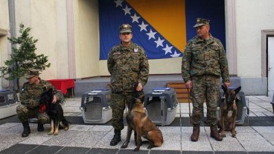 Handover of seven mine detection dog teams to the Armed Forces of BiH
