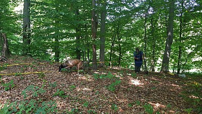 Municipality of Bujanovac in Serbia One Step Closer to Being Mine-Free