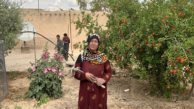 Working Towards a More Resilient Northeast Syria