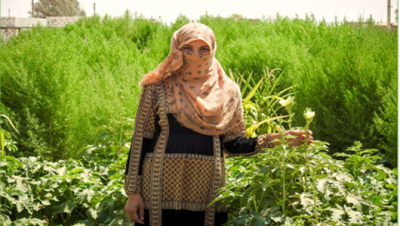 Improving Livelihoods for Rural Communities of Northeast Syria