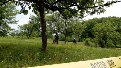 Clearance Projects in Bosnia and Herzegovina: Progress Towards Mine-Safe Communities