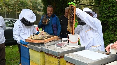 ITF Beekeeping Project Published in Ukrainain Beekeeping Newspaper