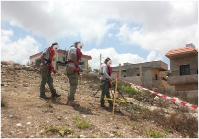 Clearing area around several homes