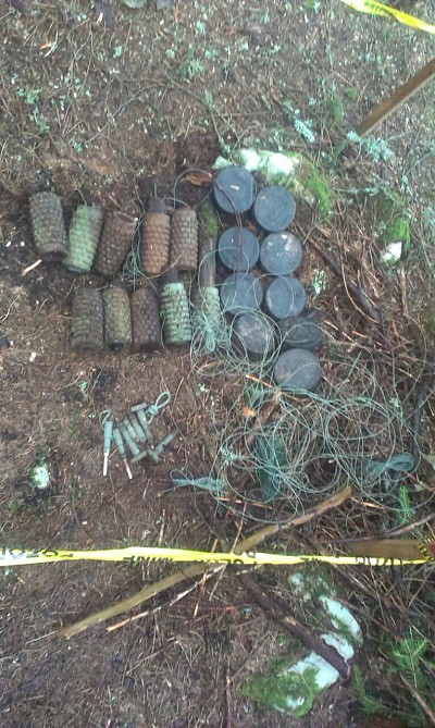 Demining in Bosnia and Herzegovina