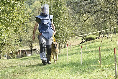 Demonstration of demining with mine detection dogs