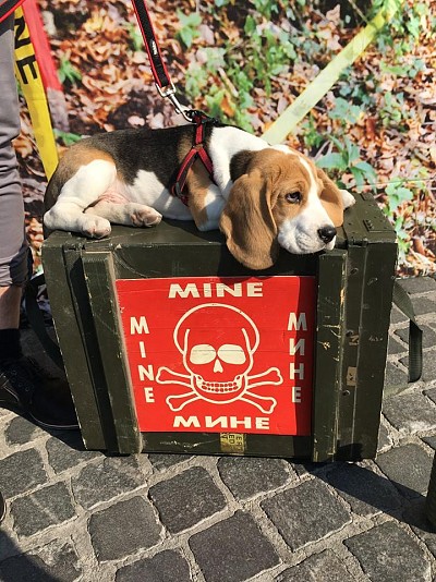 Prešeren Square on 4 April