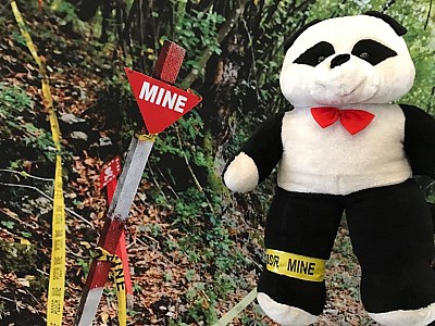 Panda - Faculty of Law