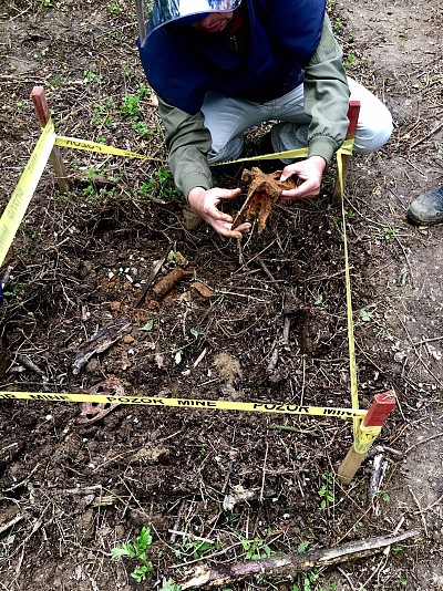 Remnants of explosive ordnance found on the project location.